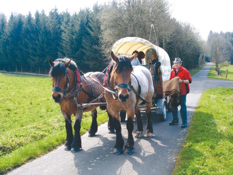 Landgasthof Lang Zum Adler Oberkalbach Bagian luar foto